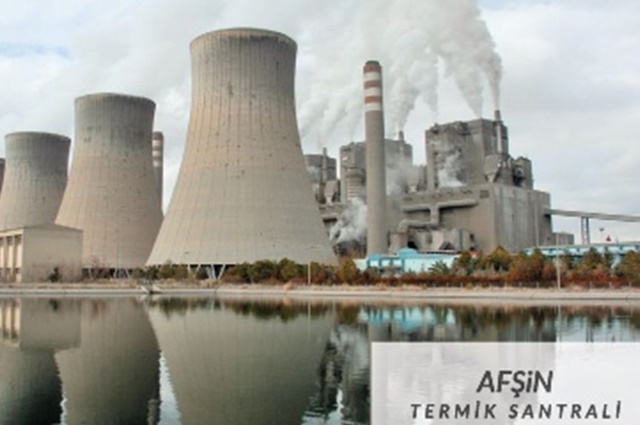 Hydroelectric and Thermal Power Plants