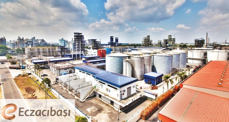 Chemical Plant Projects