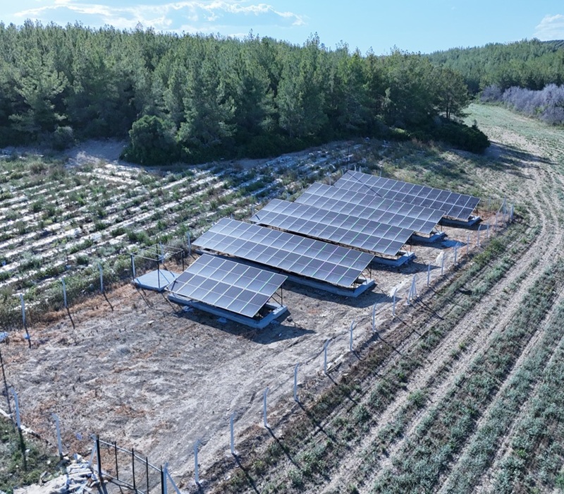 Solar-Powered Agricultural Irrigation