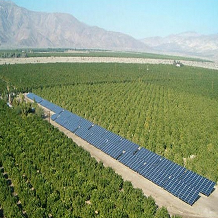 Solar-Powered Agricultural Irrigation